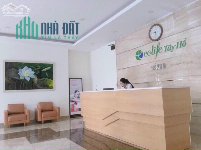 Chính chủ cần bán căn hộ tầng 14 toà A chung cư Ecolife Tây Hồ, Hà Nội