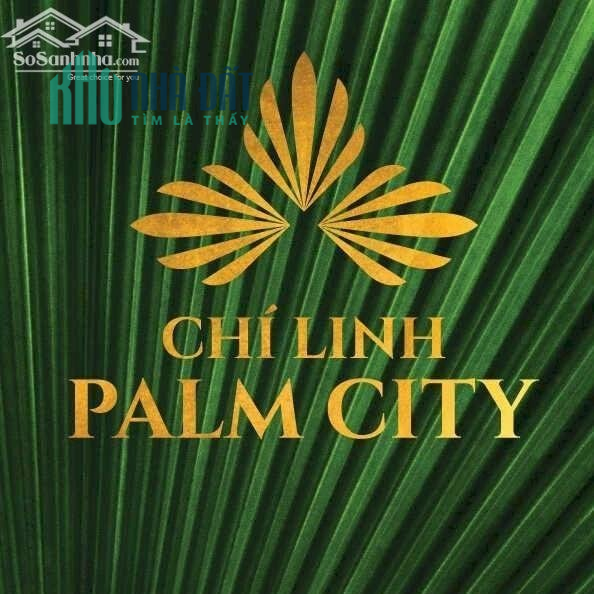 Cần bán lô đất gần Hồ - Plam Chí Linh Hải Dương