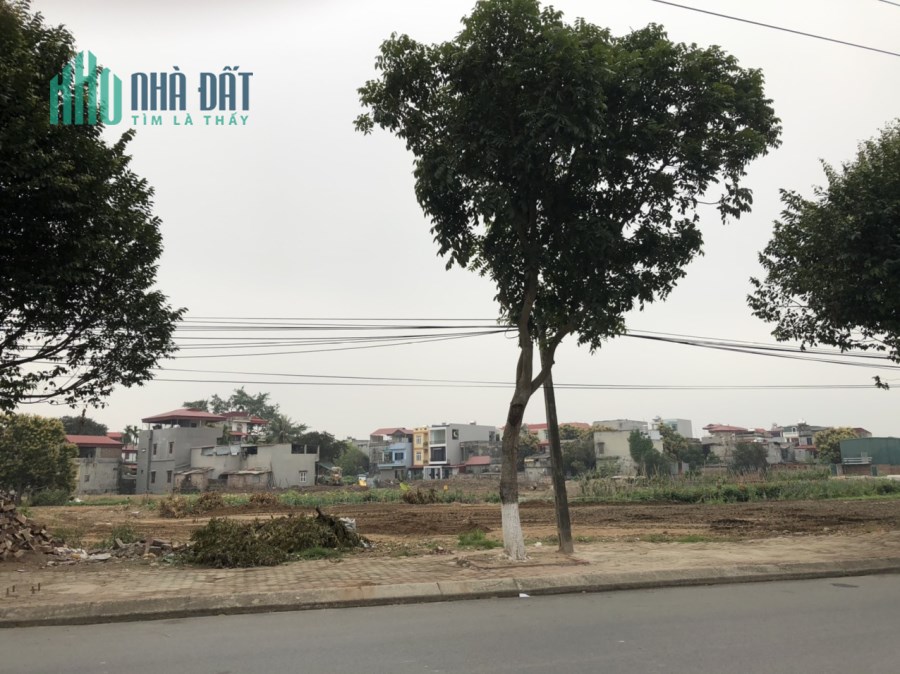 Bán Đất Liền Kề 74m Mặt Phố Trần Đăng Tuyển, Vũ Ninh, TP Bắc Ninh_3.1 Tỷ