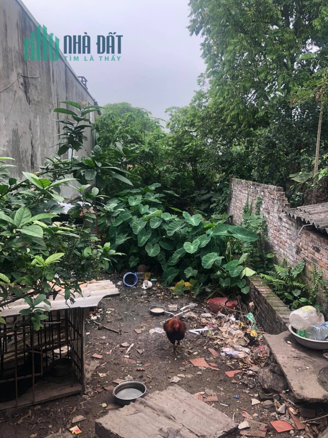 Bán nhanh 62m2 đất làng Vàng, Cổ Bi ngay cạnh đường đê đang mở rộng. LH 0983253436