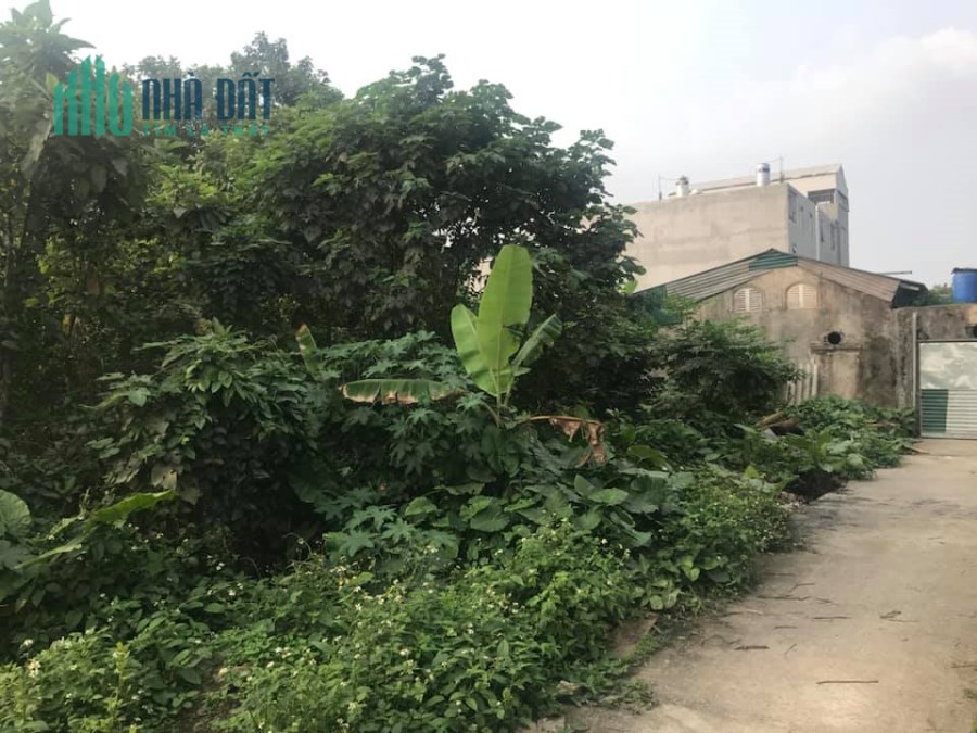 💥 Bán 204m đất Bắc Linh Đàm _ lô góc _ đường vỉa hè xe buýt tránh_0979225685