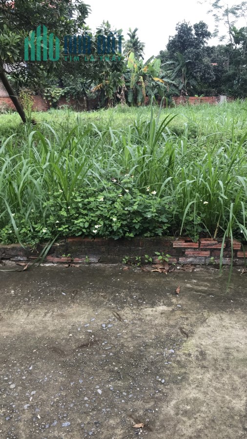 Bán Đất Thổ Cư 218m_Cách Đường Nhựa 30m_Lập Trí, Minh Trí, Sóc Sơn_5.8 Tr/m