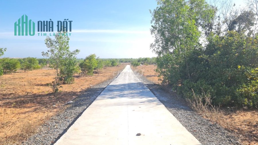 Đất sân bay Phan Thiết Thiện Nghiệp Quá rẻ 1,5 tỷ