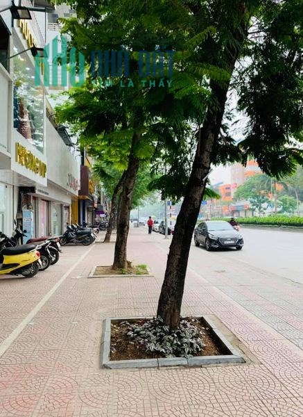 Bán nhà Mặt Phố Phan Kế Bính 70m x 5T giá 15 tỷ 0704084502