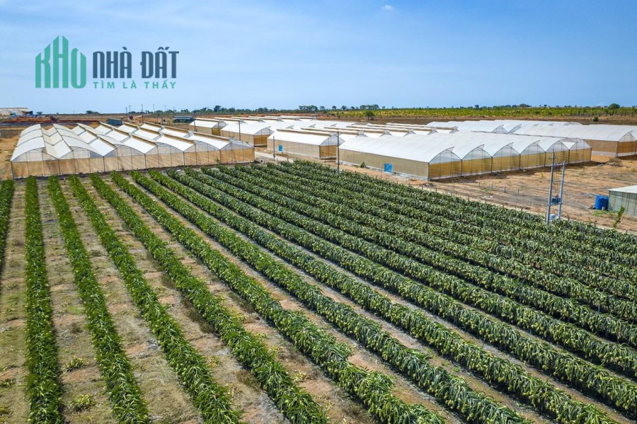 Bán lô đất 2 mặt tiền đường ngay công viên Safari - tương lai gần giá tăng gấp 5 lần