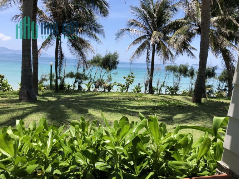 Chính Chủ Cần Bán Đất Mặt Biển Có Bãi Tắm và Rạn San Hô Duy Nhất Bắc Vân Phong Giá chỉ 999 ngàn/m2.