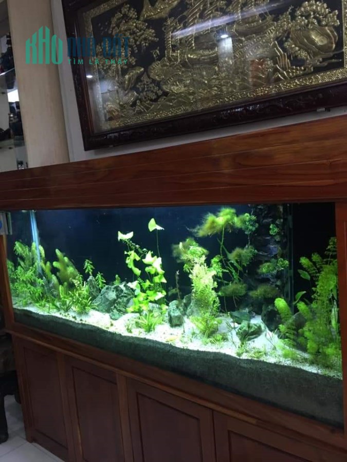 Mặt tiền  Lãnh Binh Thăng- Lò Siêu- 80m2- 2 tầng chỉ 9 tỷ 9, LH: 0933233236.