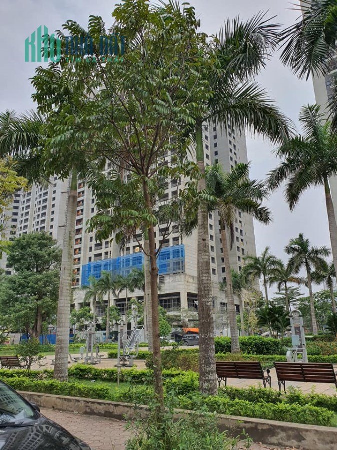 LaCasta Văn Phú 79m2. 4 Tầng. MT 5m. 2 mặt đường. Nhìn chung cư. View vườn hoa. Giá 10 tỷ 9