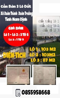 Cần Bán 3 Lô Đất Xã Xuân Thành Huyện Xuân Trường Tỉnh Nam Định