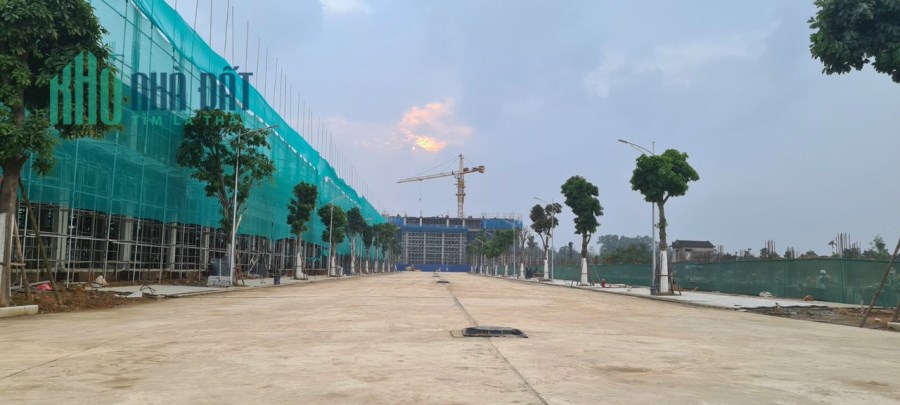 Cơ hội đầu tư mùa dịch, lợi nhuận lên đến 30%/năm