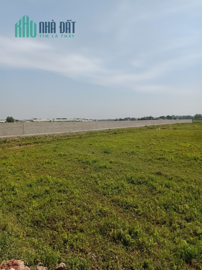 Bán 2.5ha đất công nghiệp trả tiền 1 lần tại Văn Giang, Hưng Yên. Cách Ecopark 7km
