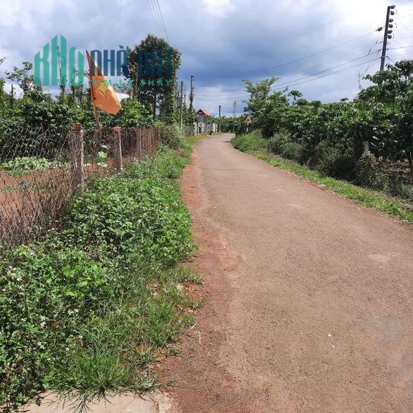 Bán đất có thổ cư giá rẻ cho nhà đầu tư