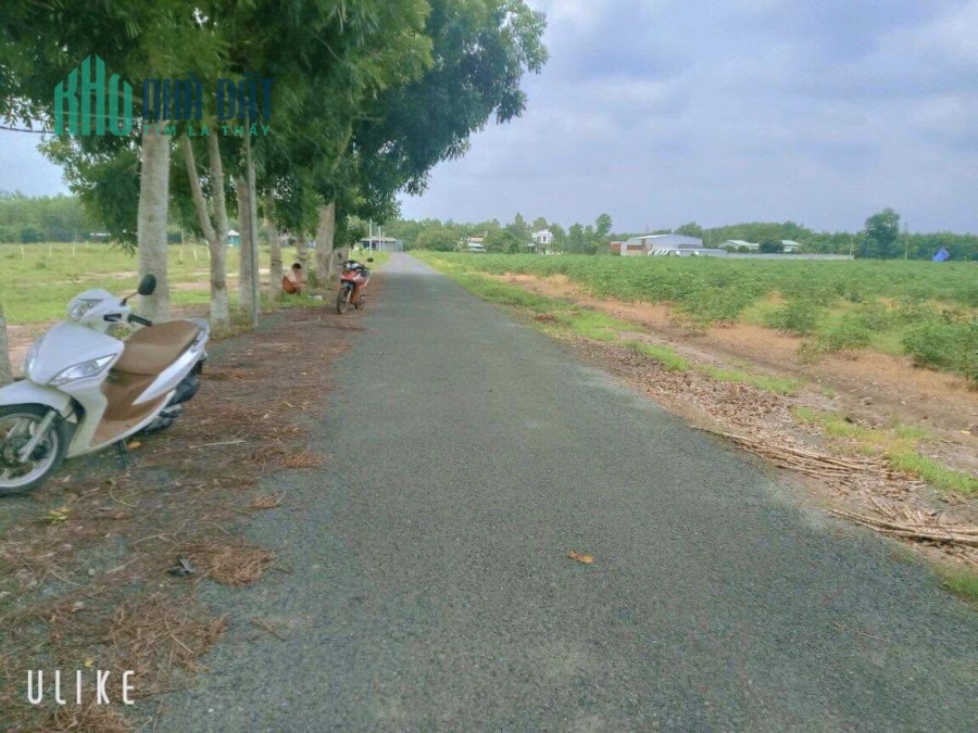 Cần ra gấp
