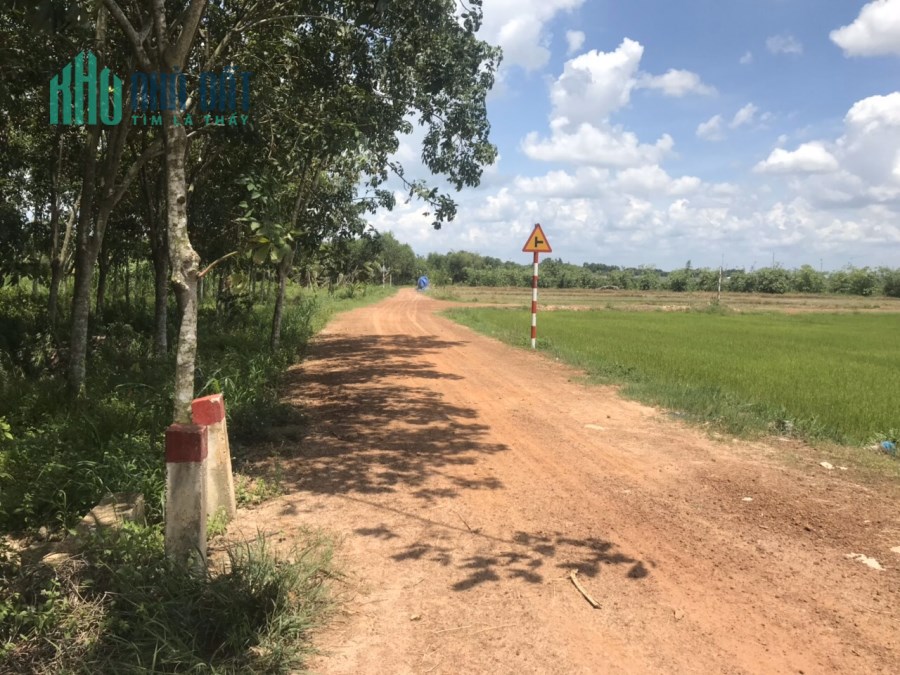 Đất nền Lai Hưng, Bàu Bàng, 1000m2 SHR sát quốc lộ 13