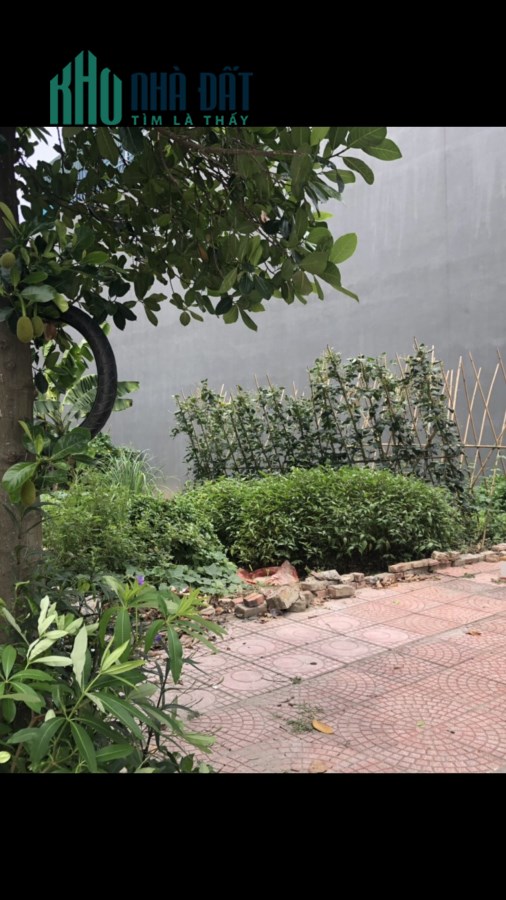 Bán Đất LK_90m MT5m_Bãi Nếp Hòa Đình Võ Cường_Cách  QL1A 200m_3.3 tỷ