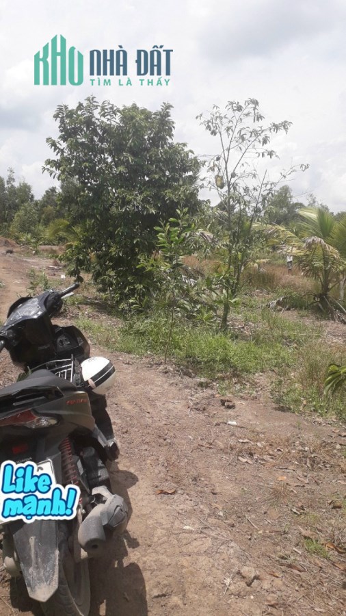 Bán gấp đất 1000 m2 Vĩnh Lôc B, Bình Chánh, Tphcm, đất đẹp vuông vắn, 1 tỷ.