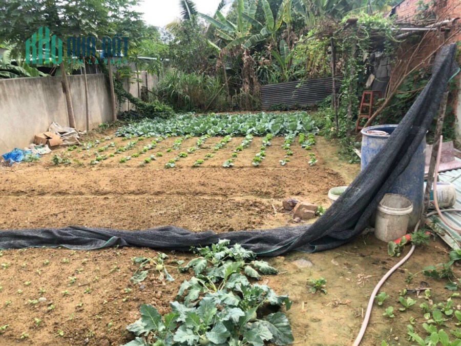 Chủ ngộp cần bán lô Phước Tân, Tp.Biên Hòa để ra đảo ở