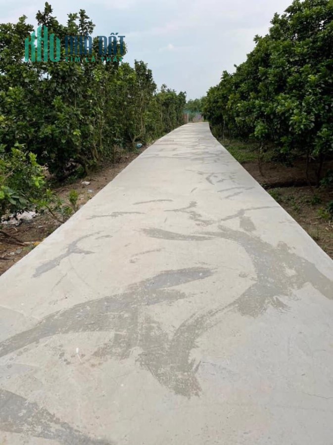 1,6 công ấp Mỹ Hoà,Mỹ Phong,TP.Mỹ Tho,Tiền Giang
