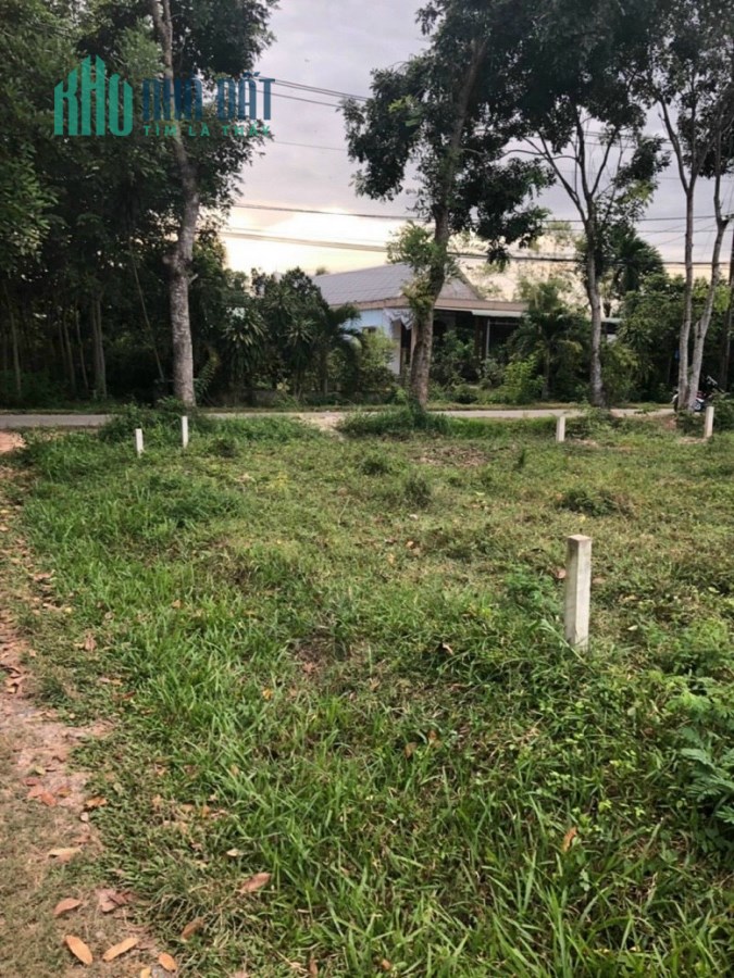Bán gấp lô đất hai mặt tiền Trương Thị Kiện, xã Thái Mỹ, Củ Chi