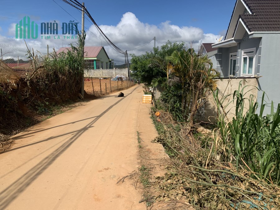 175m2 đất ở tại thị trấn Lạc Dương Lâm Đồng giá 2,2 tỷ 