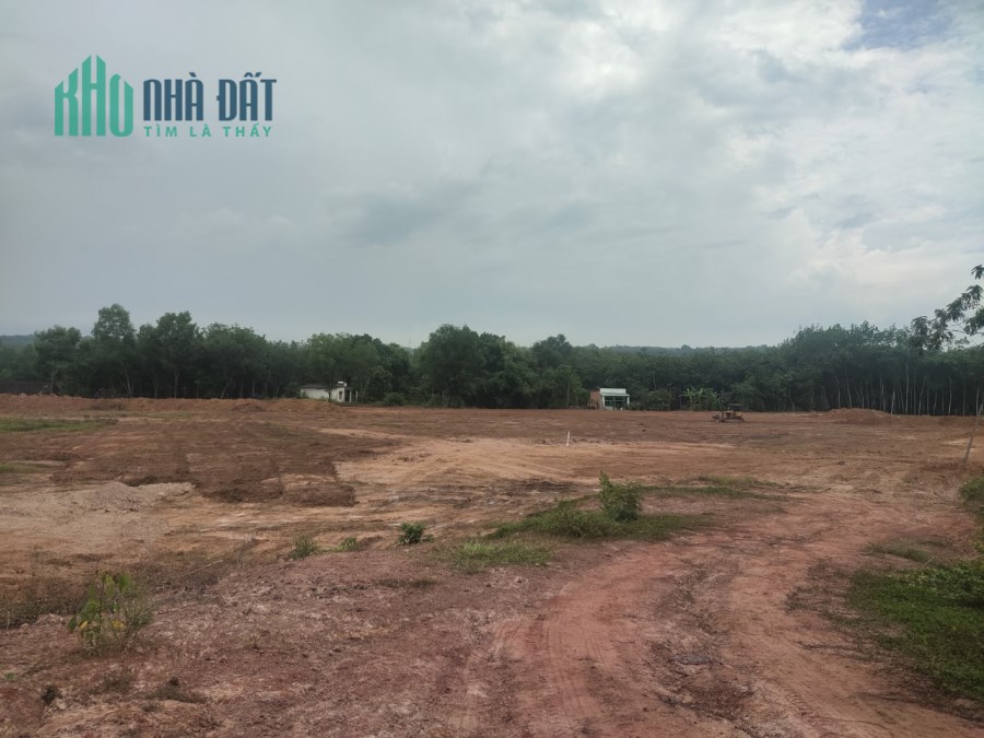 038bb.1giá đất bình dương, mua bán nhà đất huyện bàu bàng.