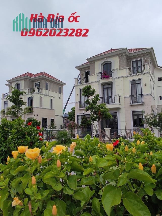 Bùng Nổ dự án Biệt Thự Centa Villas, mặt tiền rộng , đầy đủ tiện ích.