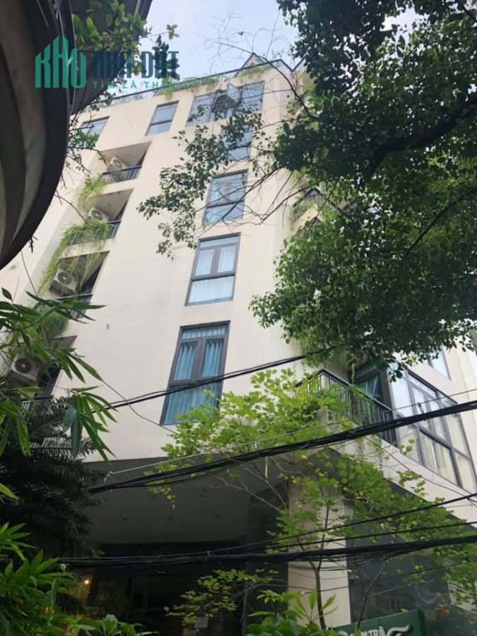 Hiếm bán tòa nhà cao cấp mặt phố Hoàng Cầu, 115M, 2 mặt tiền khủng, dòng tiền tốt