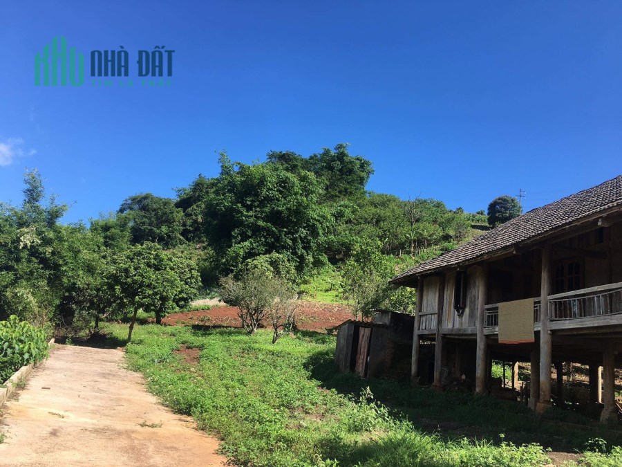 Mảnh đất diện tích lên tới 4000m2 tại trung tâm Mộc Châu- thích hợp kinh doanh dịch vụ du lịch