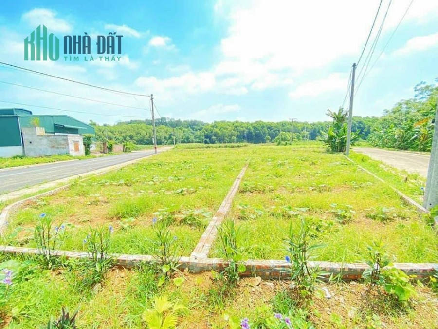 Chính chủ cần tiền bán gấp 116m2 đất Đồng Doi Hòa lạc