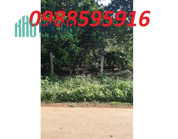Chính chủ bán đất tại xã Cuoorr Đăng, Cư Mgar, Đăk Lăk, 0988595916