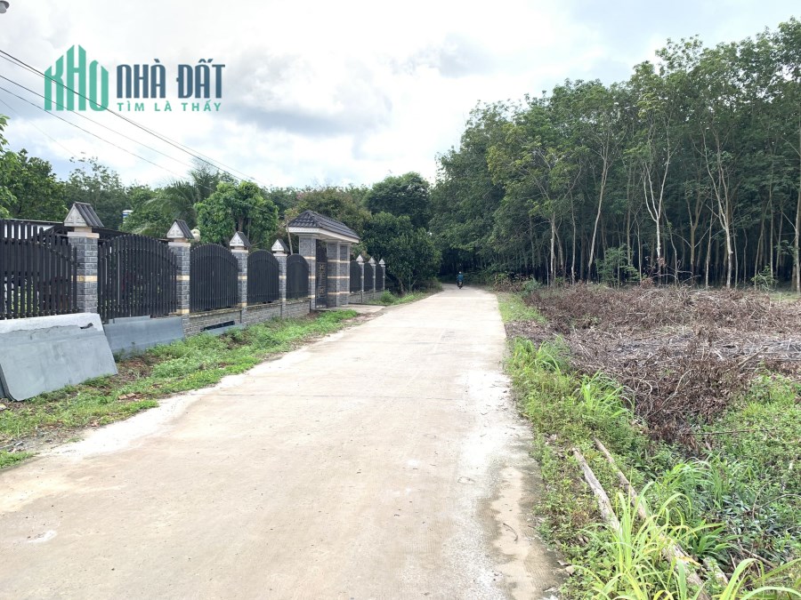 Bán đất chính chủ gần 3 kcn lớn nhất của huyện Chơn Thành Bình Phước, SHR, giá đầu tư