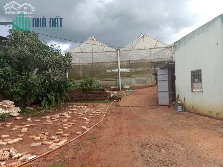 bán 2,2 sào đất sẵn nhà có thổ cư