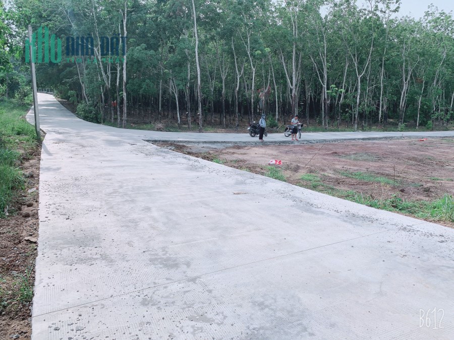 Giá đình cần tiền gấp nên bán lô đất gần kcn Hàn Quốc huyện Chơn Thành BP, sổ sẵn, công chứng ngay