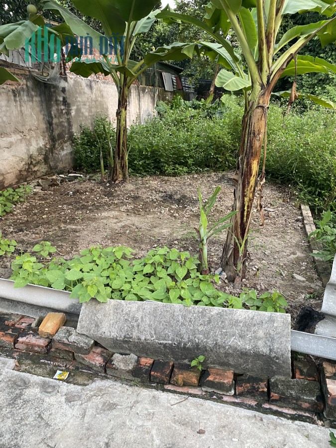 Bán nhanh 68m2 đất Giao Tất A, Kim Sơn đường oto vào.LH 0983253436