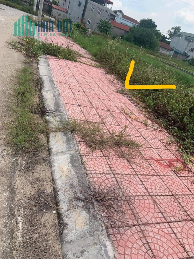 Bán nhanh 100m2 Khu Đồng Cái Ngang, Hợp Thịnh, Tam Dương