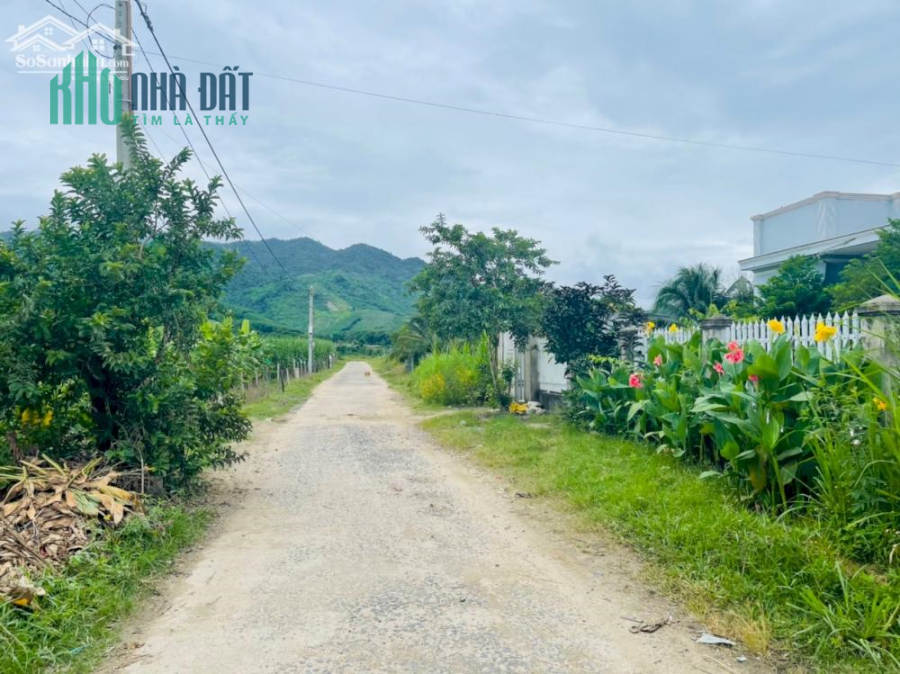 Đất biệt thự full thổ