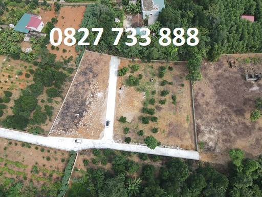 Bán đất vị trí đẹp Thôn 1 Thọ Tân, Triệu Sơn, Thanh Hoá, từ 165tr; 0827733888