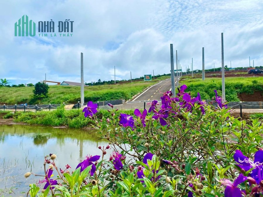 Khu Nghỉ Dưỡng Sang Chảnh, Khí Hậu Thoáng Mát Cực Kì Thích