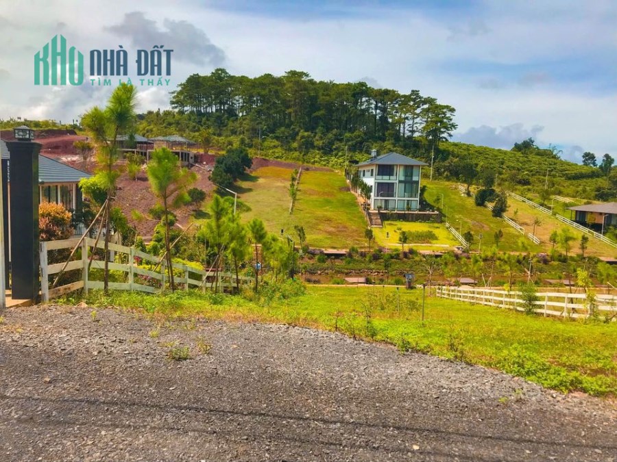 💥 Với đa dạng diện tích ngang 7m đất full thổ cư 🏦 Pháp lý sổ hồng riêng