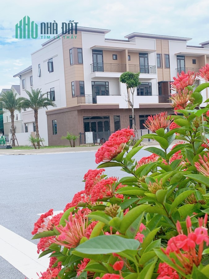 căn góc vườn hoa.đường rộng 26m-giá thấp nhất khu vực thành phố Từ Sơn