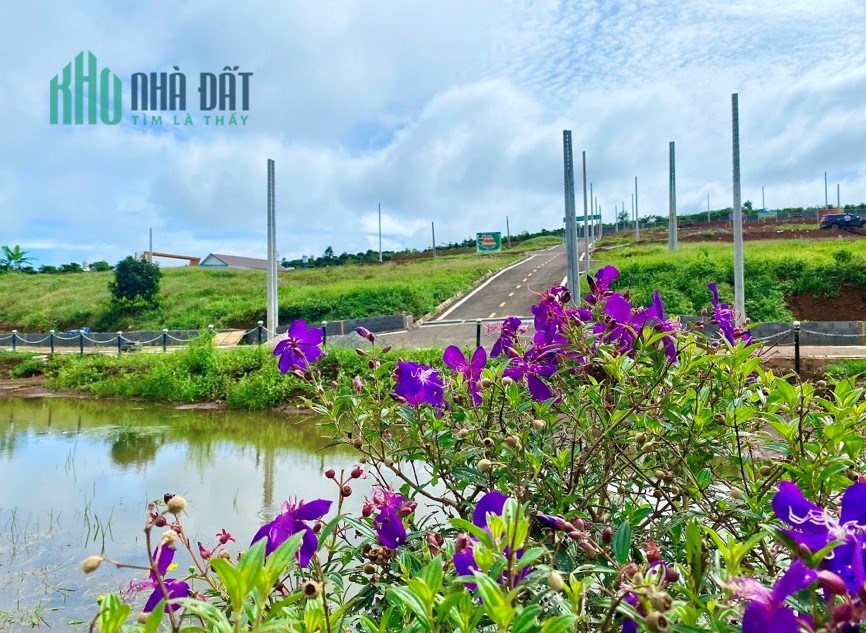 BÁN ĐẤT KHU NGHỈ DƯỠNG PHỐ HOA HILLSIDE BẢO LỘC
