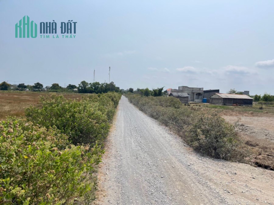 Bán gấp lô đất đường xe hơi Lý Nhơn, xã Lý Nhơn, Cần Giờ