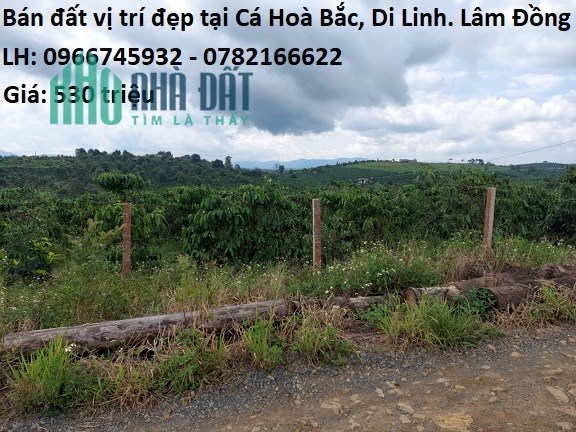 Bán đất vị trí đẹp tại Cá Hoà Bắc, Di Linh. Lâm Đồng, 530tr, 0782166622
