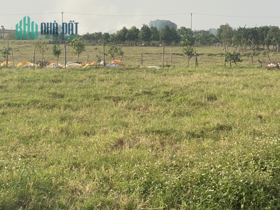 Cần bán gấp lô đất công nghiệp 20ha tại Phủ Lý, Hà Nam, vị trí cực đẹp, giá cực rẻ.