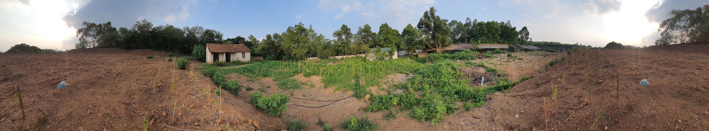 Chính chủ bán trang trại Thanh Vân, Tam Dương, gần TP Vĩnh Yên 5090m2, giá: 2,x Tỷ.