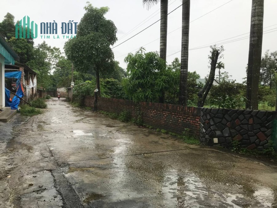 Cần bán 1500m2 đất tại Phú Sơn Ba Vì, đường ô tô tránh, giá siêu rẻ LH 0966131292