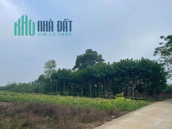 Bán gấp lô đất 2789m2 tại thôn Gò Sống, Xã Tản Lĩnh, Ba Vì, HN giá iu thương