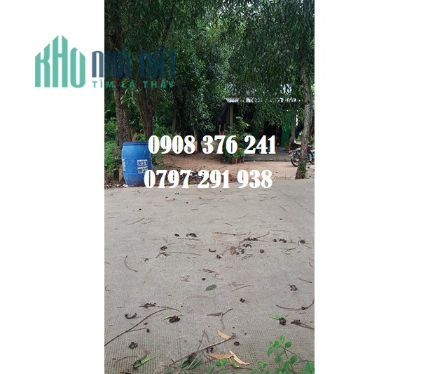 CHÍNH CHỦ BÁN ĐẤT Ấp 5, xã Thanh An, Dầu Tiếng, Bình Dương, 650tr, 0908376241