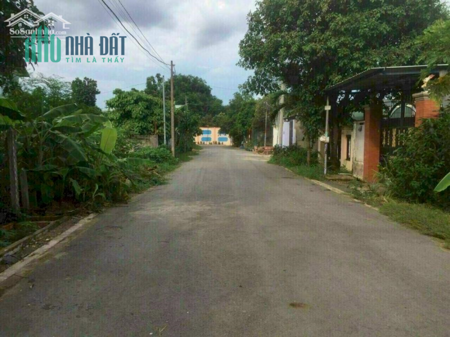 Bán lô đất đường nhựa 8m. Ngay trung tâm của P.Hiệp Thành,TDM, Bình Dương.