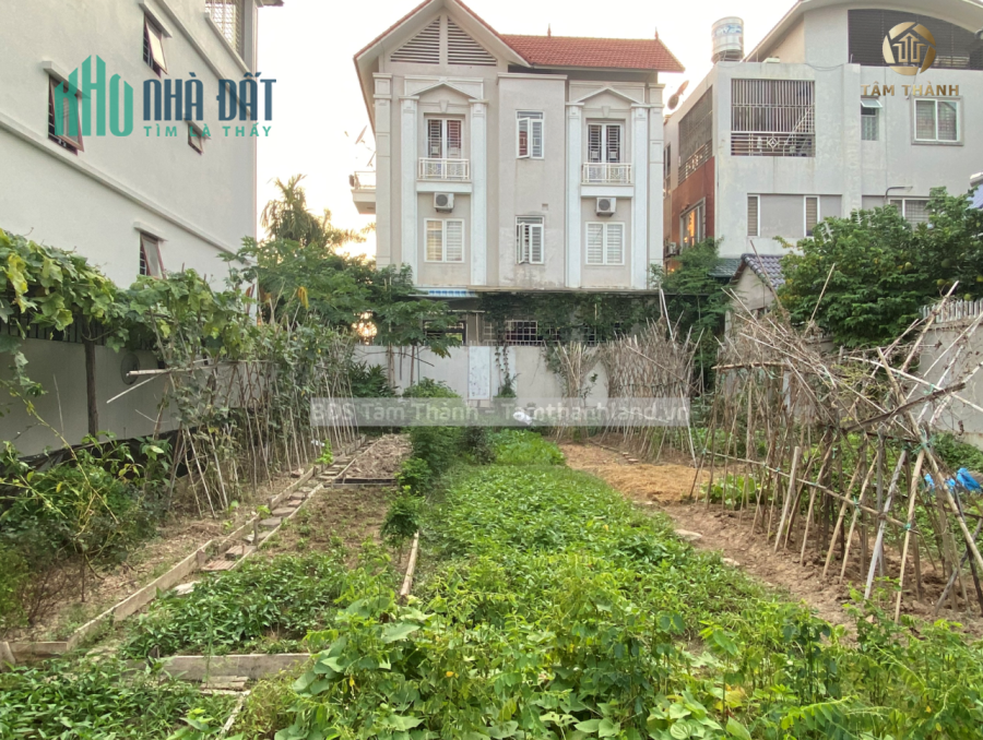 BÁN ĐẤT NỀN BIỆT THỰ – TP BẮC GIANG
